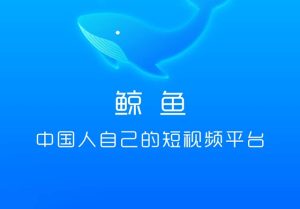 鲸鱼短视频，项目长久稳定，元宝KMC可随时变现。_手机矿家